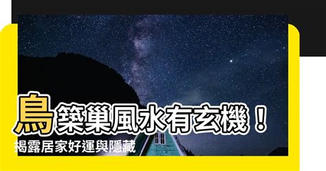 家裡有鳥來築巢|鳥巢風水：居家好運密碼